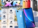 iPhone XR có gì nổi bật? Thông số và lưu ý khi mua máy cũ