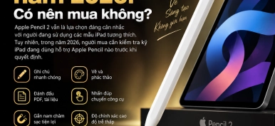 Apple Pencil 2 năm 2026: Có nên mua? Giá và iPad tương thích