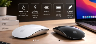 Magic Mouse có đáng mua năm 2026? Đánh giá chi tiết, giá tốt